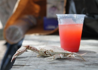 Long Island Bahamas Crabbing